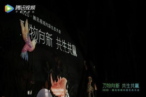 辰飞爆料中的视频,精彩瞬间一网打尽